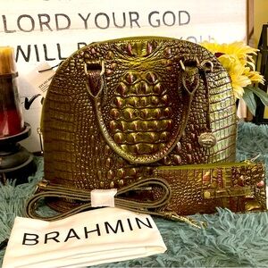 Brand New! Matcha beautiful Brahmin handbag